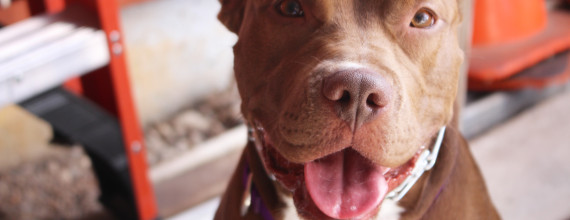 zoey closeup (1)