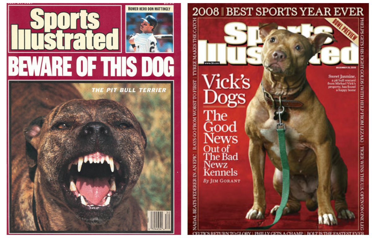 A side-by-side comparison of two Sports Illustrated covers about pit bull dogs