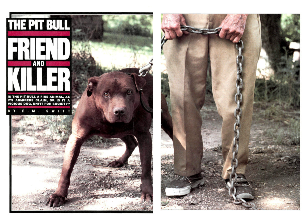 A page from a 1987 Time Magazine article about pit bull dogs