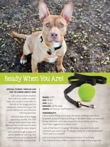 Pet resume flyer including a dog's photo and their information.