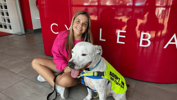 Young girl sitting with a white pit bull wearing an "Adopt Me" vest in front of a Cycle Bar counter