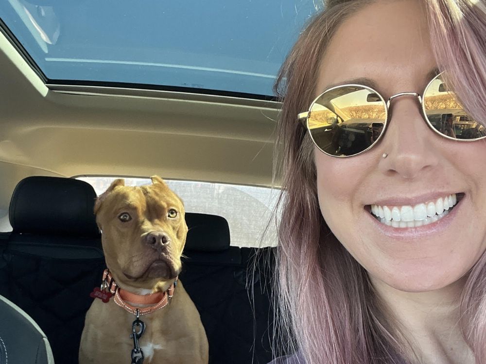 Woman sitting in a car with a brown dog