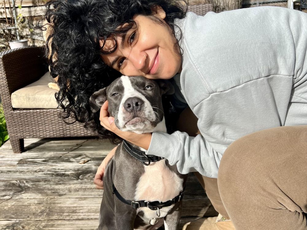 A woman hugging and black and white pitbull dog