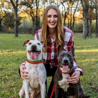 Woman kneeling in the grass with two pitbull dogs in front of her.