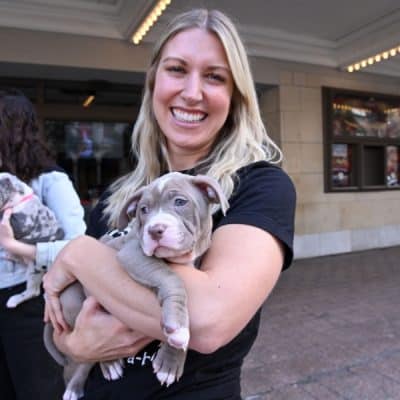 Woman holding a small pitbull puppy in her arms.