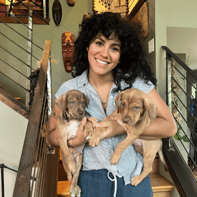 Young woman holding two brown puppies