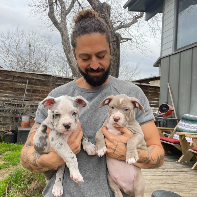 A man holding two pitbull puppies in his arms