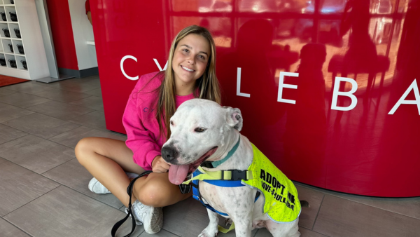 Young girl sitting with a white pit bull wearing an "Adopt Me" vest in front of a Cycle Bar counter