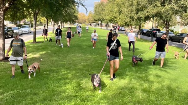 A group of individuals with their dogs in the park