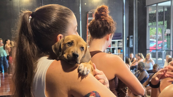 A young woman holding a small puppy in her arms in a fitness studio