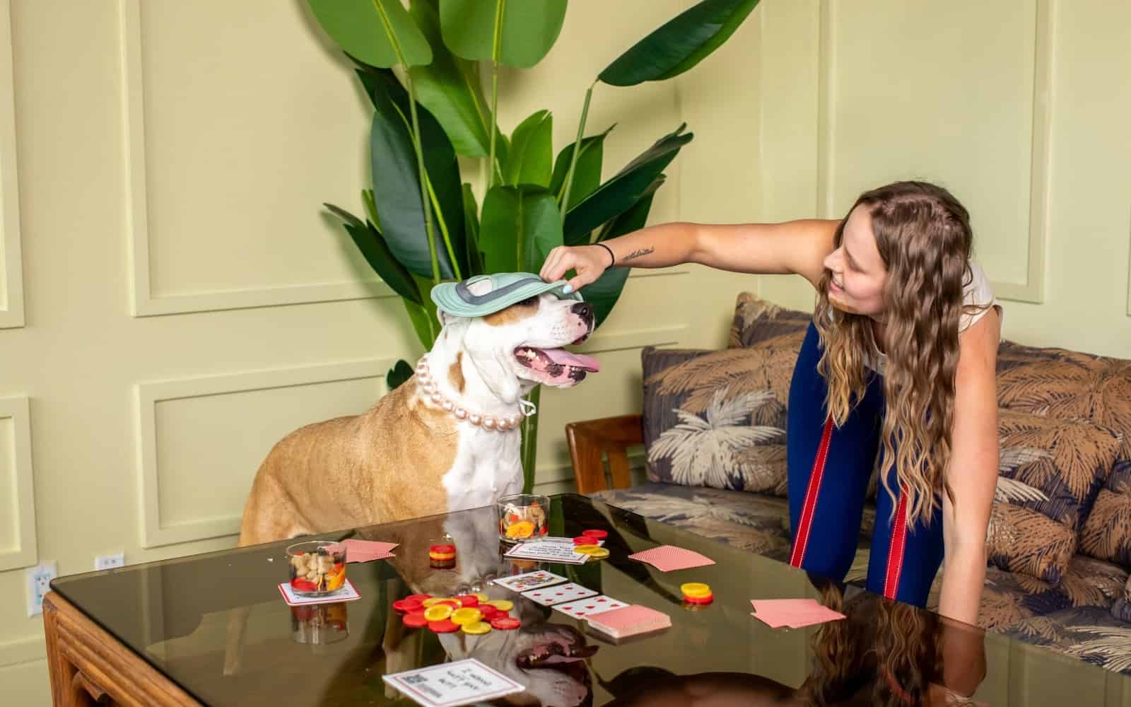 A woman placing a hat on a pit bull dog at a poker table