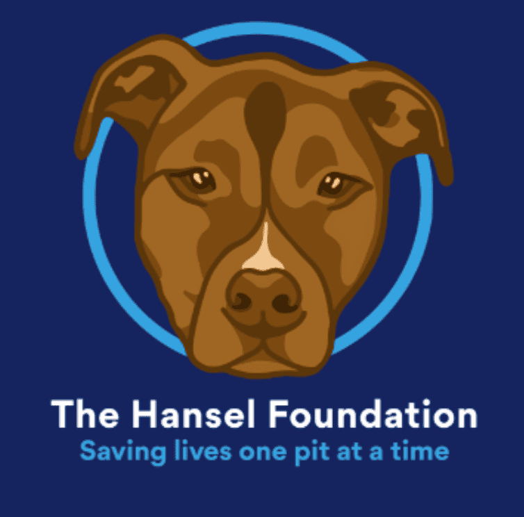 The Hansel Foundation Logo