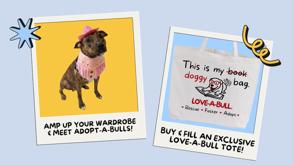 Clothing Swap